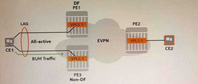 Certification Exam Nokia Ethernet Virtual Private Network Services Nokia Nokia-4A0-115 3-47348726