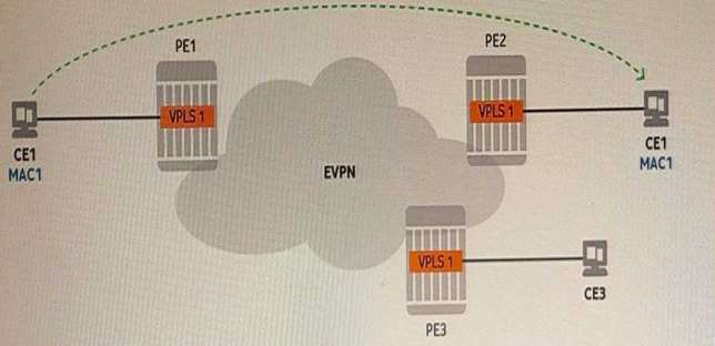 Certification Exam Nokia Ethernet Virtual Private Network Services Nokia Nokia-4A0-115 4-1698996